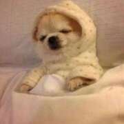 ヒメ日記 2024/12/20 00:02 投稿 あすみ 制服向上委員会