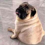 ヒメ日記 2024/12/26 11:31 投稿 あすみ 制服向上委員会