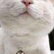 ヒメ日記 2024/12/27 10:52 投稿 あすみ 制服向上委員会