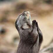 ヒメ日記 2025/02/26 15:36 投稿 あすみ 制服向上委員会