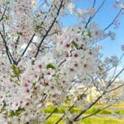 ヒメ日記 2025/04/06 09:53 投稿 あすみ 制服向上委員会