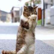 ヒメ日記 2025/04/11 16:15 投稿 あすみ 制服向上委員会