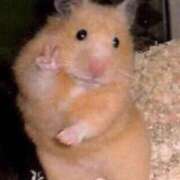 ヒメ日記 2026/04/01 11:30 投稿 あすみ 制服向上委員会