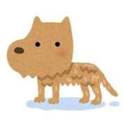 ヒメ日記 2025/10/22 13:40 投稿 もも Beppin house