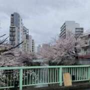 ヒメ日記 2025/04/09 20:04 投稿 あいら 紅(くれない)