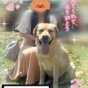 ヒメ日記 2025/01/09 11:13 投稿 ほのか 秘密の出張部屋