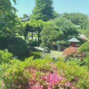 ヒメ日記 2025/01/14 10:03 投稿 ほのか 秘密の出張部屋