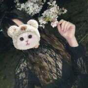 ヒメ日記 2026/04/09 18:20 投稿 こあ 派遣型JKリフレ ぷるぷる横浜