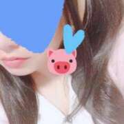 ヒメ日記 2024/12/12 20:07 投稿 らむ 所沢東村山ちゃんこ