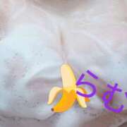 ヒメ日記 2024/12/23 07:01 投稿 らむ 所沢東村山ちゃんこ