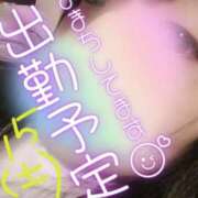 ヒメ日記 2025/02/13 12:01 投稿 らむ 所沢東村山ちゃんこ