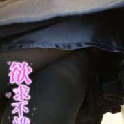 ヒメ日記 2025/02/27 07:39 投稿 らむ 所沢東村山ちゃんこ