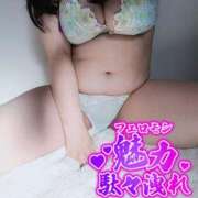 ヒメ日記 2025/03/01 09:54 投稿 らむ 所沢東村山ちゃんこ