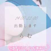 ヒメ日記 2025/03/08 11:30 投稿 らむ 所沢東村山ちゃんこ