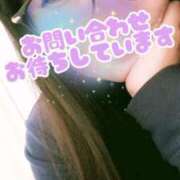 ヒメ日記 2025/03/08 18:13 投稿 らむ 所沢東村山ちゃんこ