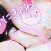 ヒメ日記 2025/03/18 06:30 投稿 らむ 所沢東村山ちゃんこ