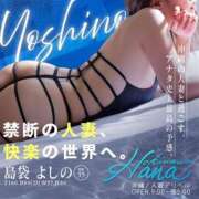 ヒメ日記 2025/08/08 21:43 投稿 島袋 よしの HANA-okinawa-