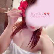 ヒメ日記 2025/10/23 13:48 投稿 島袋 よしの HANA-okinawa-