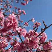 ヒメ日記 2026/02/15 16:33 投稿 島袋 よしの HANA-okinawa-