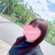 ヒメ日記 2026/08/11 18:53 投稿 島袋 よしの HANA-okinawa-
