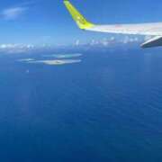 ヒメ日記 2026/09/18 09:43 投稿 島袋 よしの HANA-okinawa-