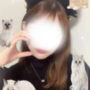 ヒメ日記 2026/03/03 11:58 投稿 なつき 極SPA(新大阪)