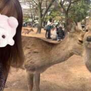 ヒメ日記 2026/03/26 11:13 投稿 なつき 極SPA(新大阪)