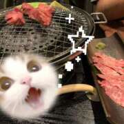 ヒメ日記 2026/04/03 12:32 投稿 なつき 極SPA(新大阪)