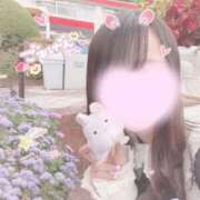 ヒメ日記 2025/08/27 00:13 投稿 ひめ 手コキガールズコレクション