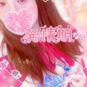 ヒメ日記 2024/12/13 08:31 投稿 なつき マリン土浦本店