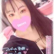 ヒメ日記 2025/04/08 09:05 投稿 なつき マリン土浦本店