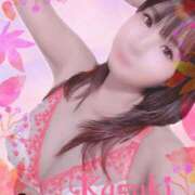 ヒメ日記 2025/11/27 11:30 投稿 和希★ 阿AUN呍(あうん)