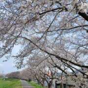 ヒメ日記 2025/03/31 07:21 投稿 あかり 人妻倶楽部内緒の関係 春日部店