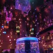 ヒメ日記 2025/04/18 10:55 投稿 あかり 人妻倶楽部内緒の関係 春日部店