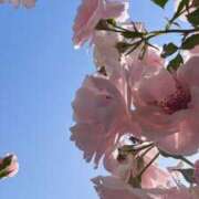 ヒメ日記 2025/06/30 05:30 投稿 アヤメ OLの品格 クラブアッシュ