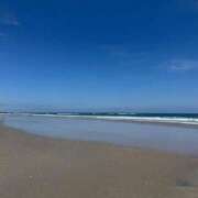 ヒメ日記 2025/09/17 17:33 投稿 さき 那珂川角海老