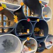 ヒメ日記 2025/10/19 17:33 投稿 さき 那珂川角海老