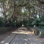 ヒメ日記 2025/10/25 08:23 投稿 さき 那珂川角海老