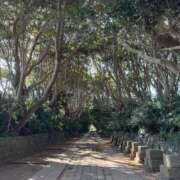 ヒメ日記 2025/11/12 17:23 投稿 さき 那珂川角海老