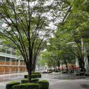 ヒメ日記 2025/11/15 17:23 投稿 さき 那珂川角海老