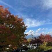 ヒメ日記 2025/11/16 17:33 投稿 さき 那珂川角海老