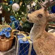 ヒメ日記 2025/12/10 16:23 投稿 さき 那珂川角海老