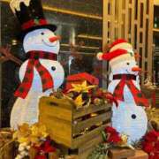 ヒメ日記 2025/12/16 14:33 投稿 さき 那珂川角海老