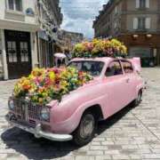 ヒメ日記 2026/01/25 08:33 投稿 さき 那珂川角海老