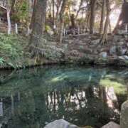 ヒメ日記 2026/02/10 17:33 投稿 さき 那珂川角海老