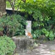 ヒメ日記 2026/02/20 17:13 投稿 さき 那珂川角海老