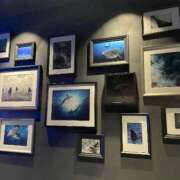 ヒメ日記 2026/02/21 17:33 投稿 さき 那珂川角海老