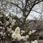 さき ありがとうございました！ 那珂川角海老