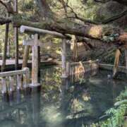 ヒメ日記 2026/03/14 17:13 投稿 さき 那珂川角海老