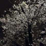 ヒメ日記 2026/03/28 17:03 投稿 さき 那珂川角海老